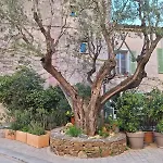 Standing, Vue Golfe Avec Parking Gratuit Apartment *